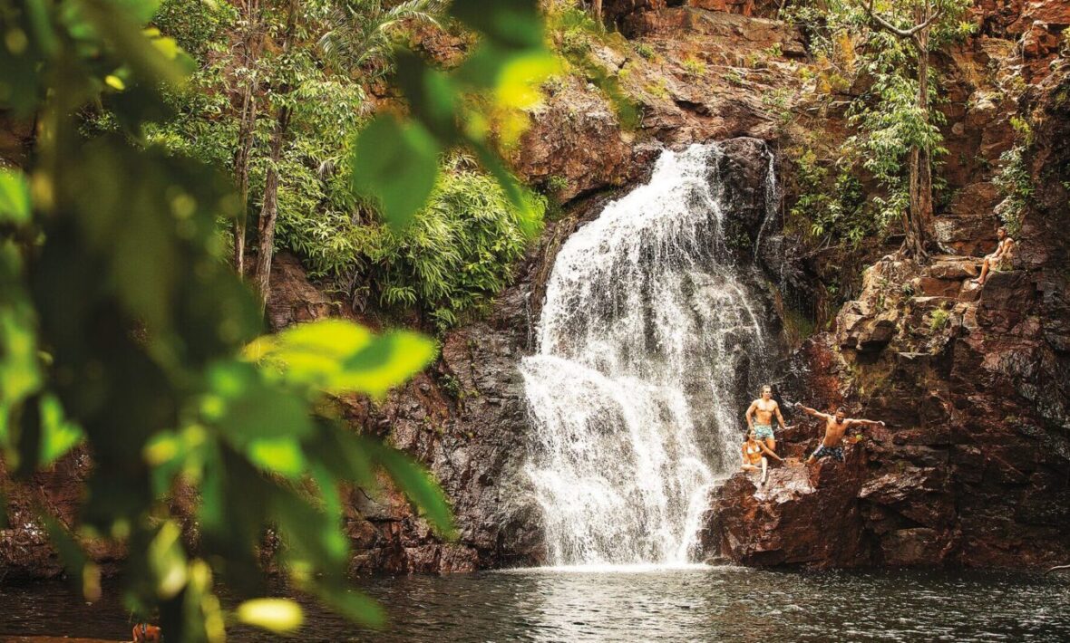 A forest with a waterfall.