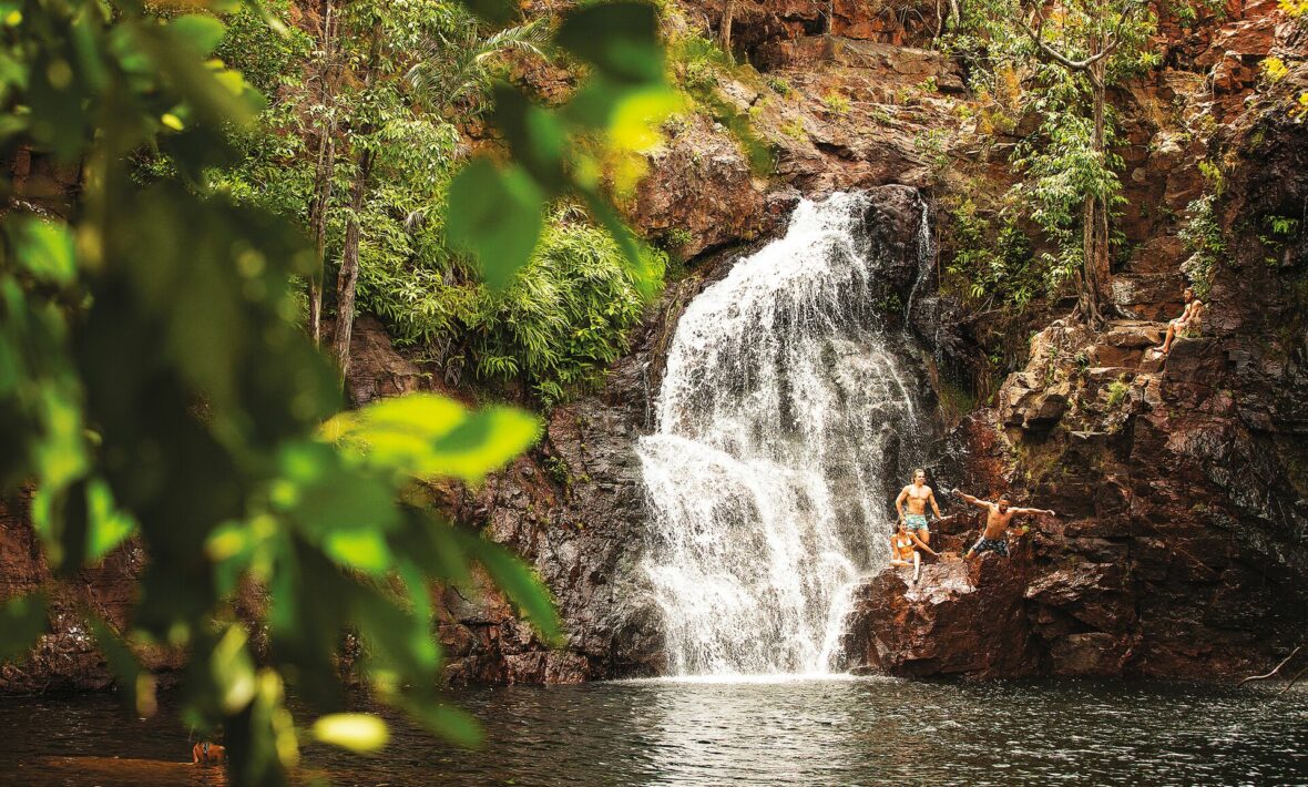 A forest with a waterfall.