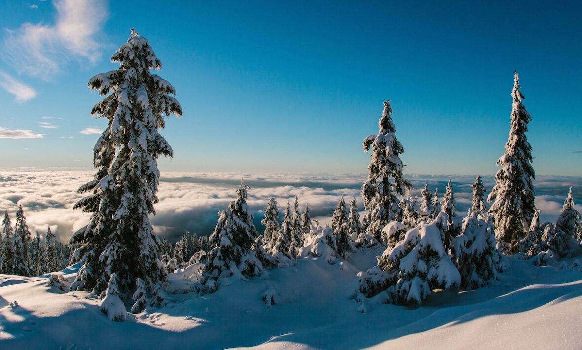 Things to do in Whistler: Snow covered mountain.