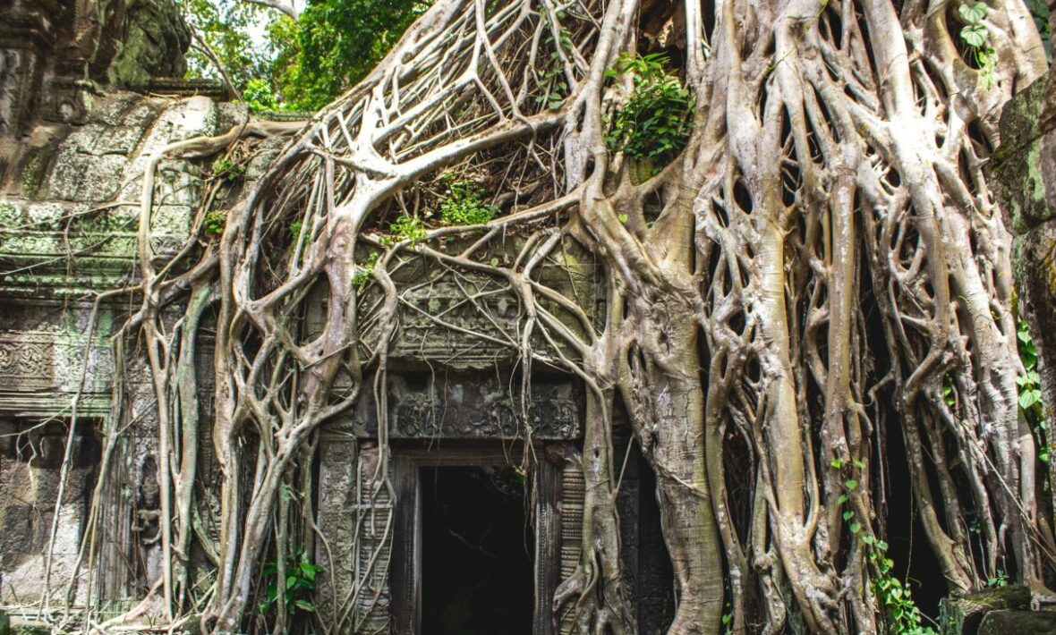 Angor Wat