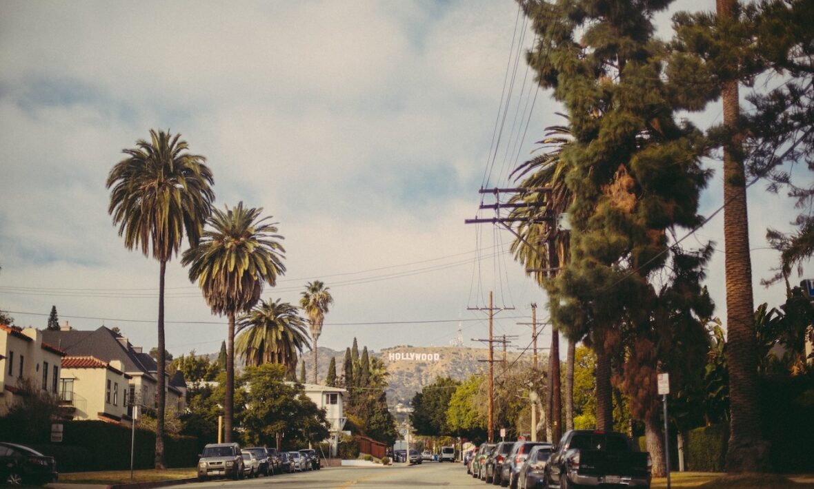 The Bachelor destinations featuring a street lined with palm trees and parked cars.