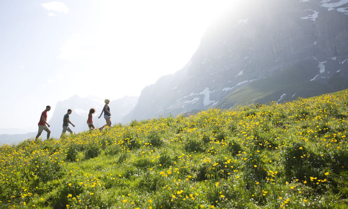 inspirational travel quotes - image of group of friends walking up a mountain in switerland