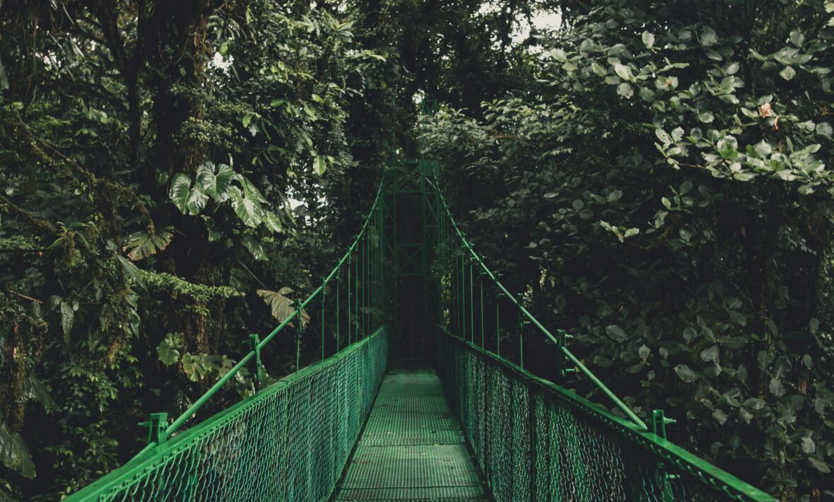 costa rica jungle bridge