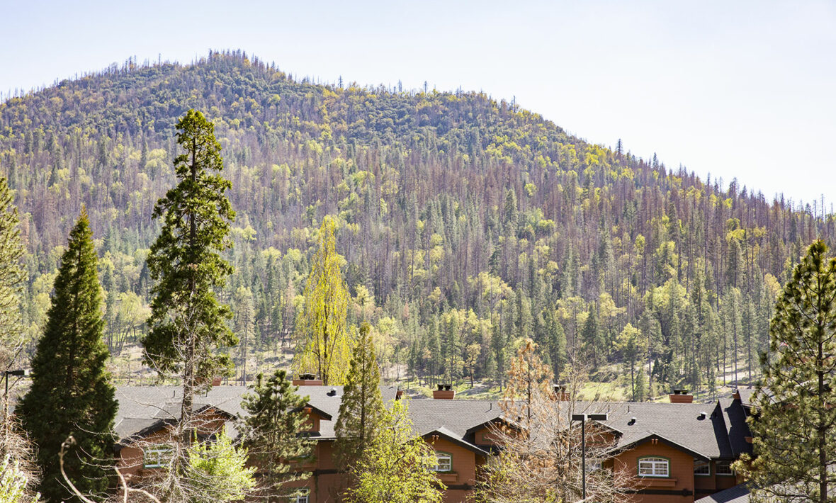 lake bass resort california