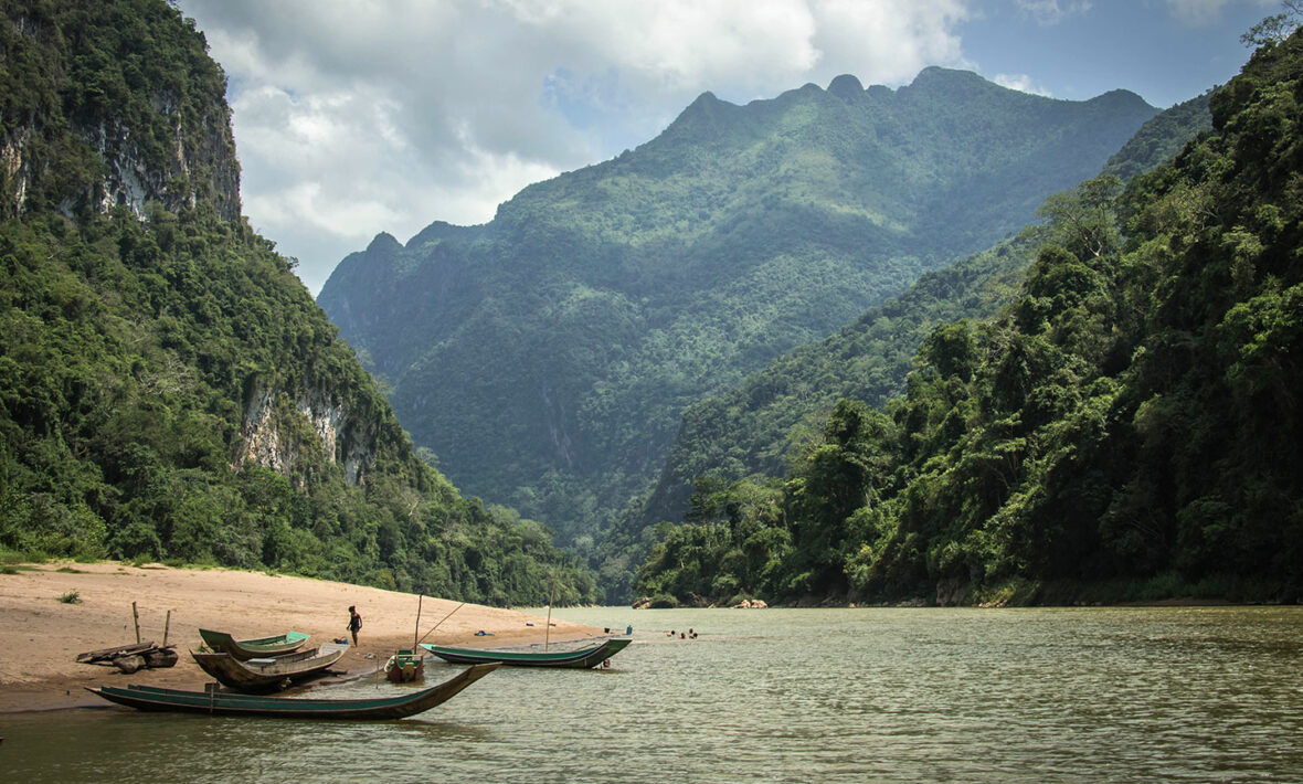 laos tree alliance