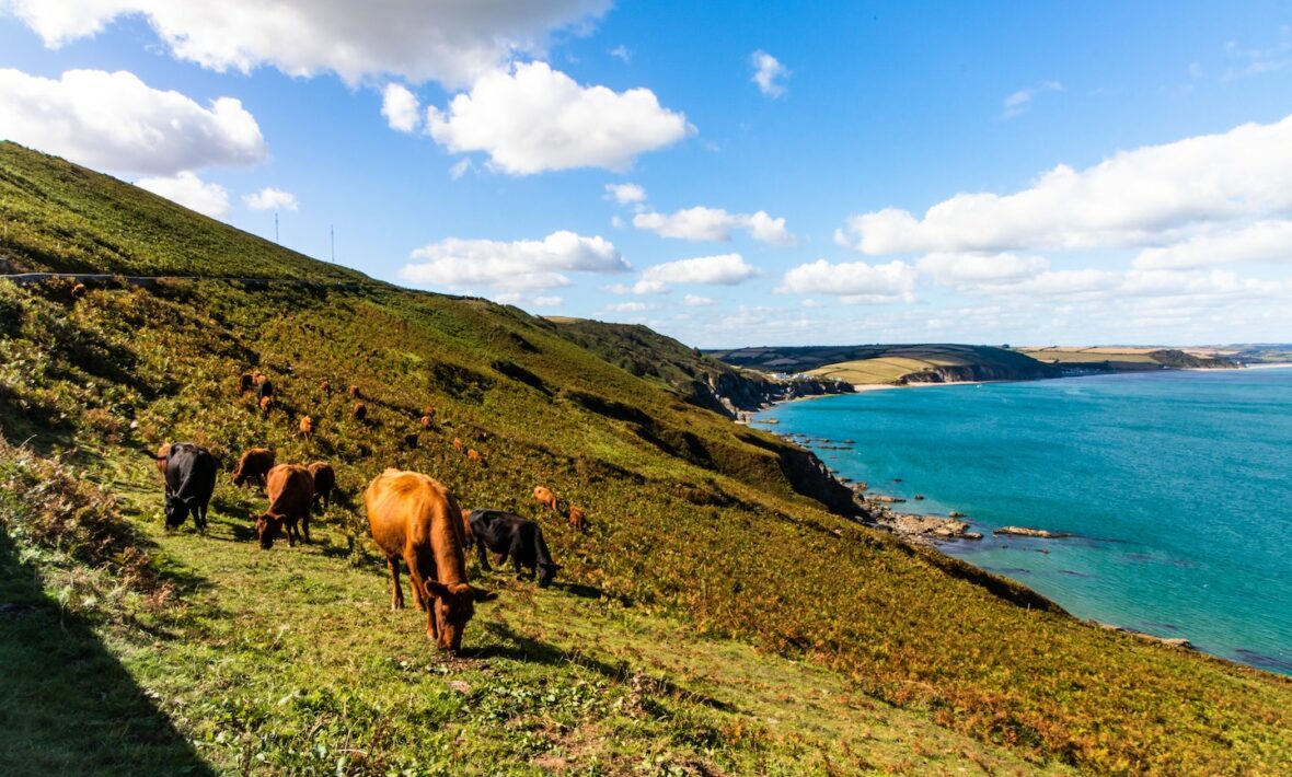 Devon UK staycation