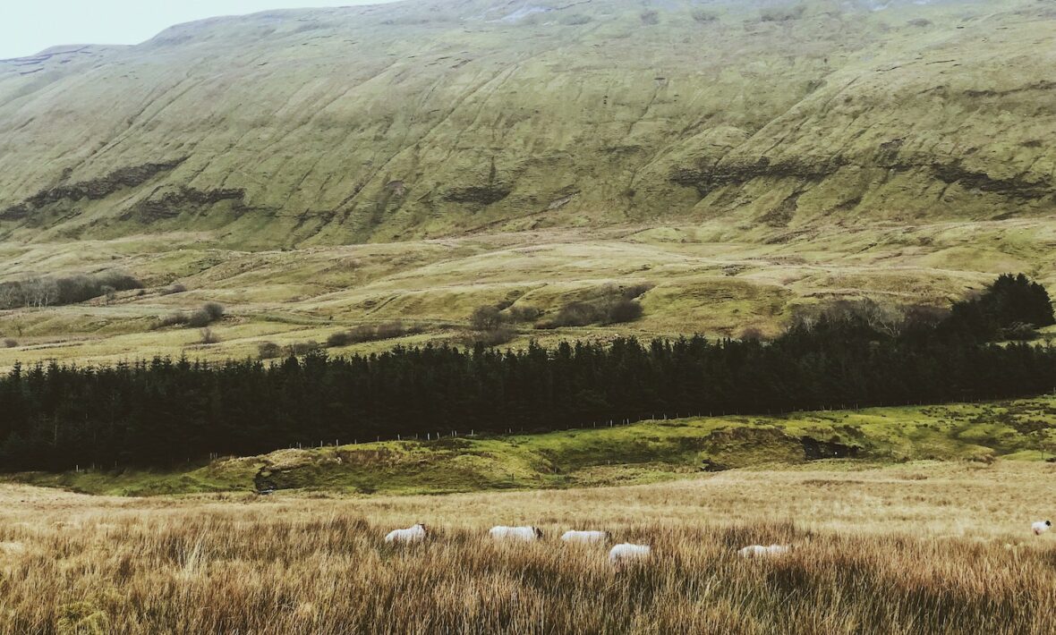 Sligo, Ireland - Normal People location