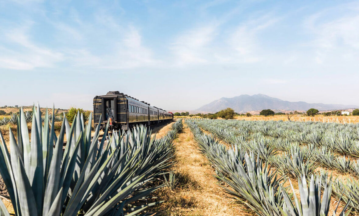 tequila-train-mexico