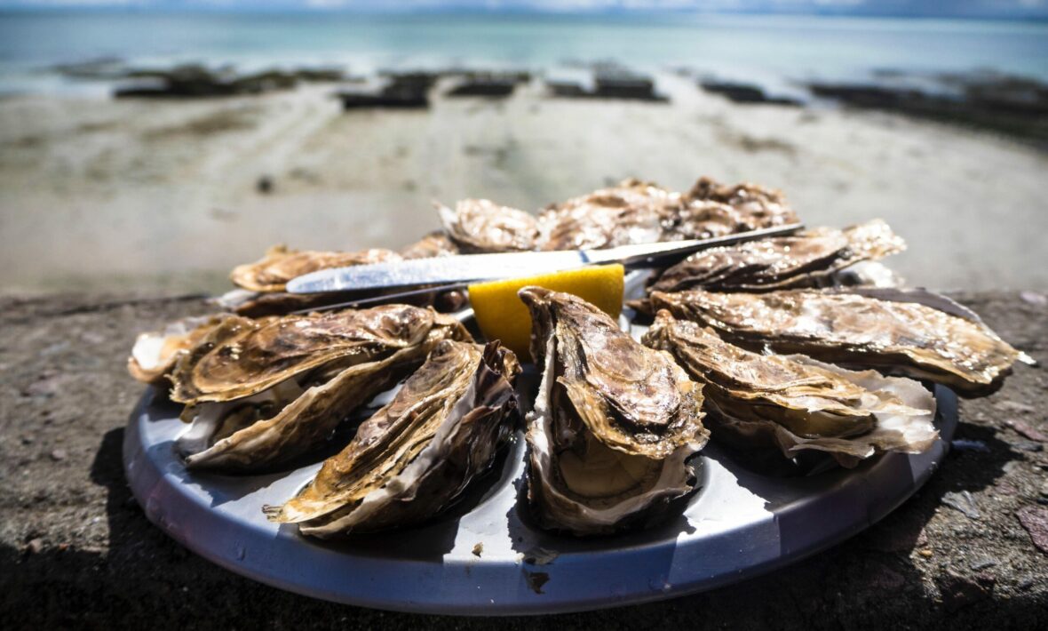 A plate of oysters with a lemon on it.