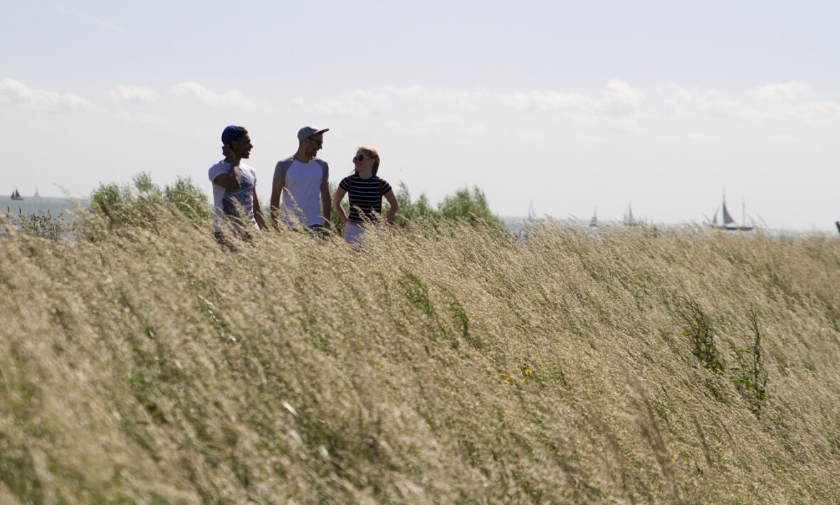 People riding frisbee in tall grass, a unique and thrilling travel experience.