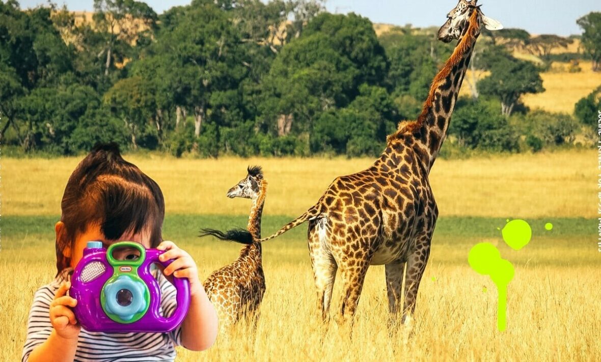 A little girl is capturing a social moment while traveling, by taking a picture of giraffes.