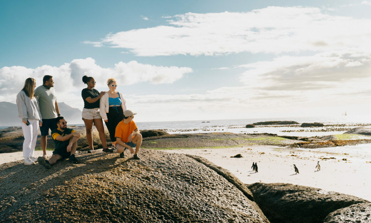 group of travellers on boulders beach looking at african penguins