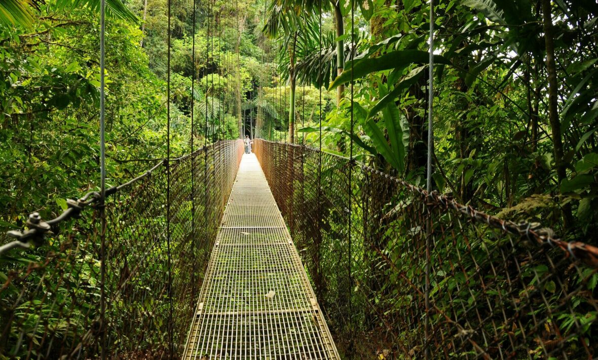 hanging bridges of Costa Rican rainforest
