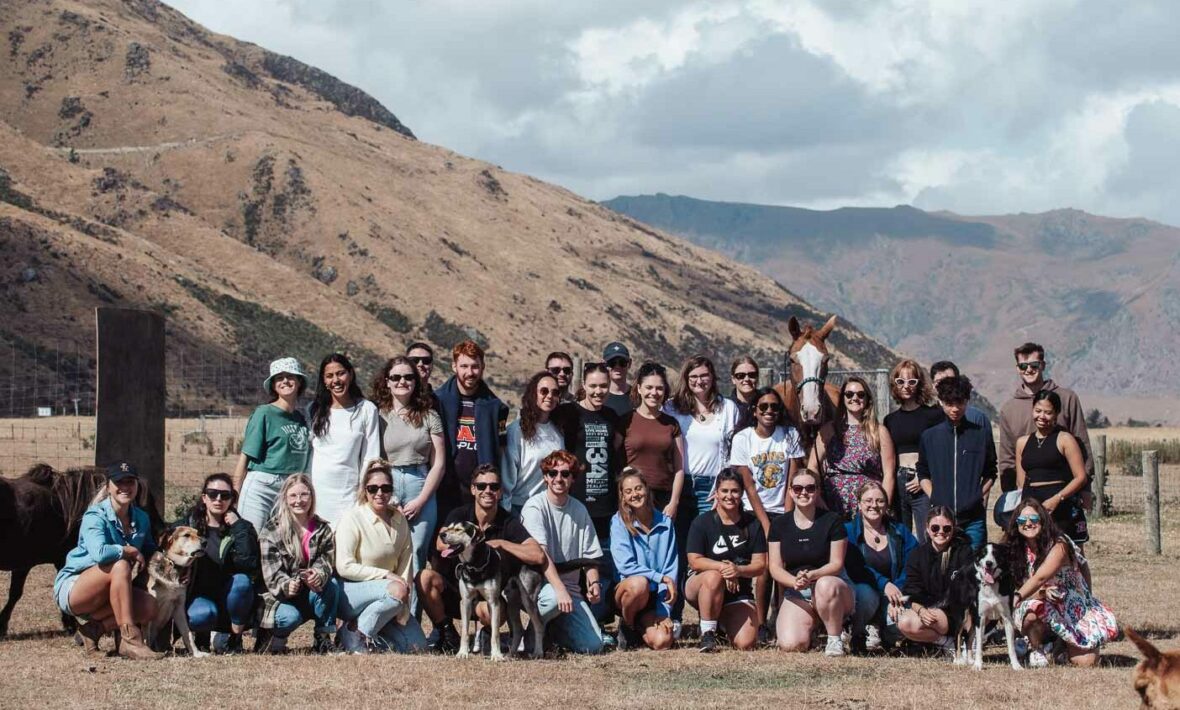 Contiki group with farm animals in New Zealand