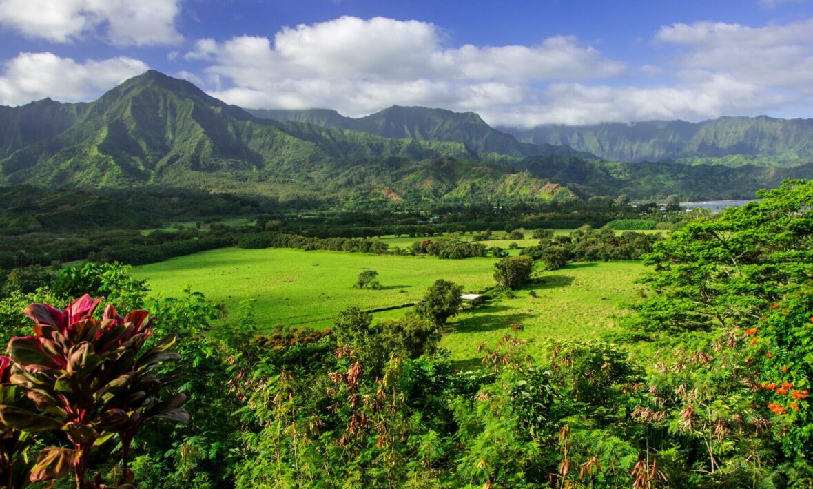 views overlooking the lush greenery of Kauai in Hawaii