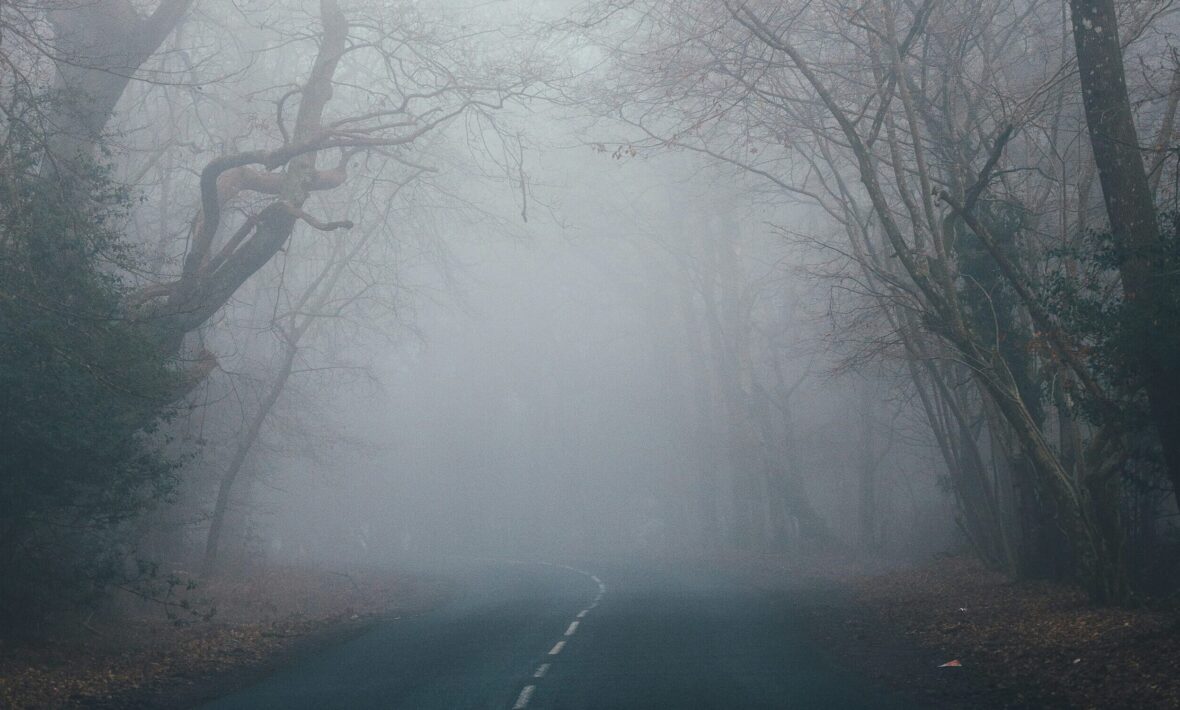 copse of spooky trees over a dark road with mist