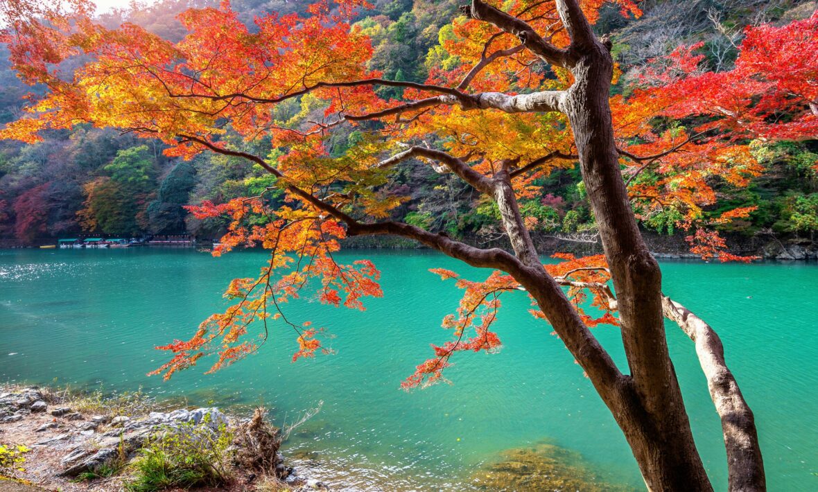 fall foliage over river in Arashiyama near Kyoto, Japan