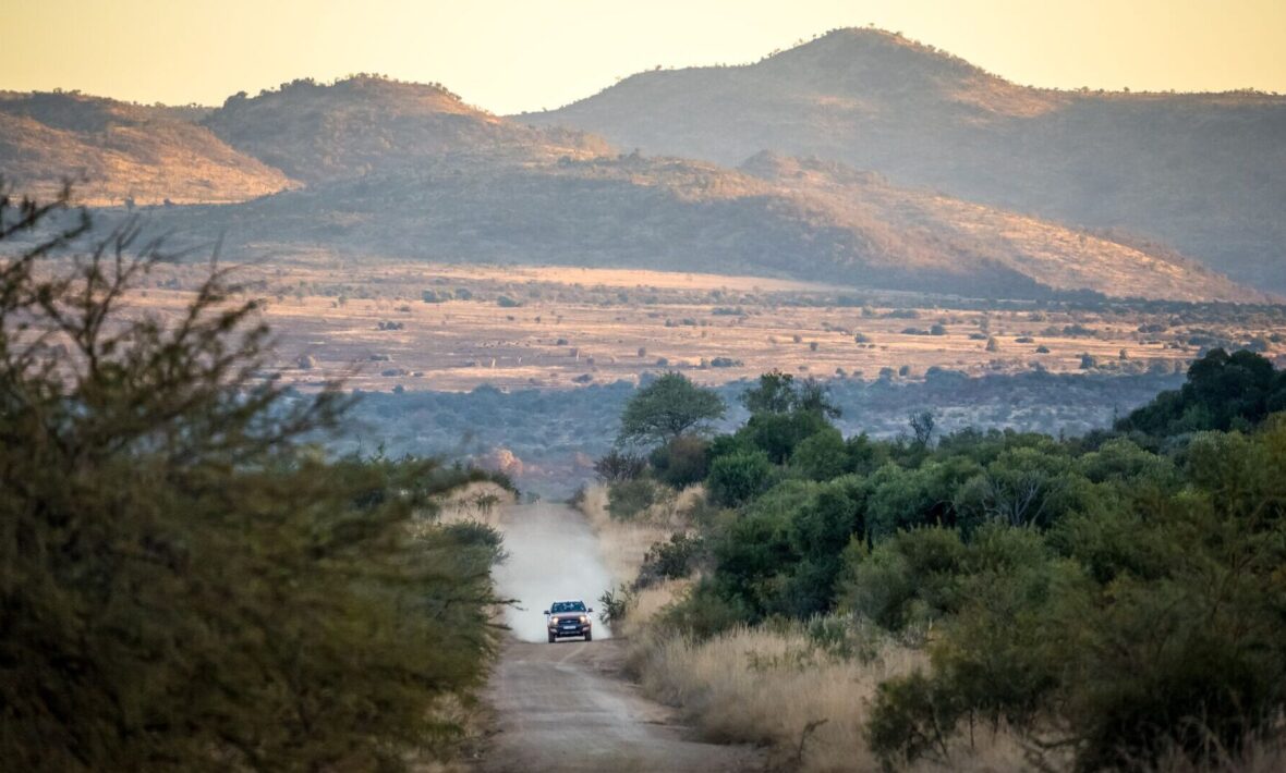 car driving down game drive roads at Pilanesberg