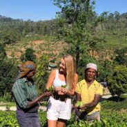 women farming tea leaves in Sri Lanka