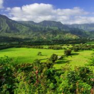 views overlooking the lush greenery of Kauai in Hawaii