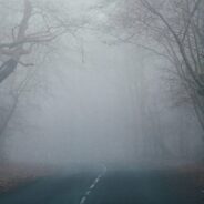 copse of spooky trees over a dark road with mist