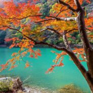 fall foliage over river in Arashiyama near Kyoto, Japan