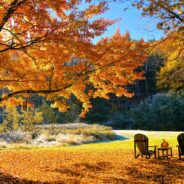 chairs outside on an autumn day in New England