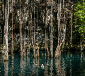 A man, 18 years old, is swimming in the water near some trees.