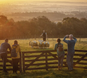 Glenshane Country Farm