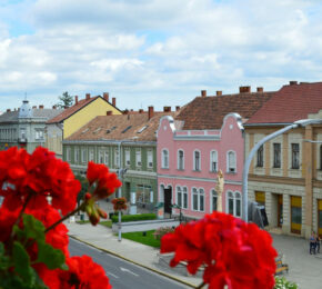 Red flowers in a pot for Budapest day trips.