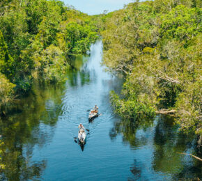 Canoe in Australian Everglad