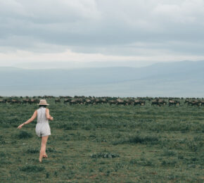 A woman observing East African wildlife in a field with a herd of wildebeests.