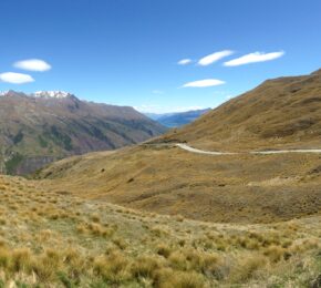 A person is standing on a grassy hill with mountains in the background in New Zealand.