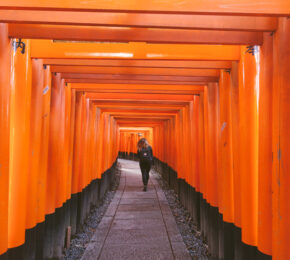 Women walking up path lined with bright orange posts