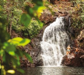 A forest with a waterfall.