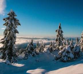 Things to do in Whistler: Snow covered mountain.