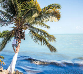 belize-header-image