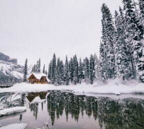 Festive Canada