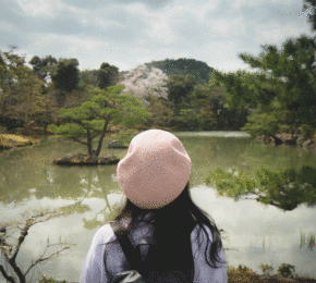 contiki-japan