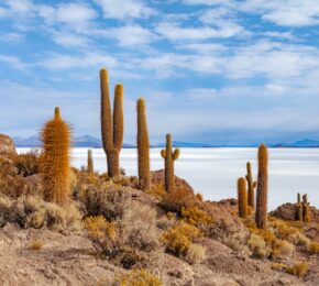 Bolivia, South America