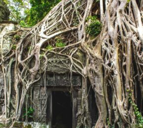 Angor Wat