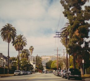 The Bachelor destinations featuring a street lined with palm trees and parked cars.