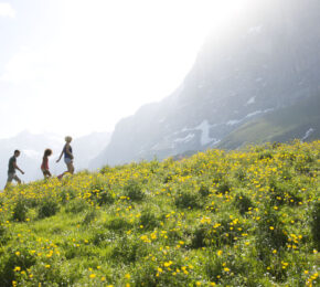 inspirational travel quotes - image of group of friends walking up a mountain in switerland