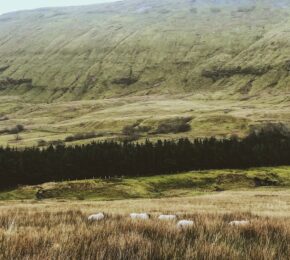 Sligo, Ireland - Normal People location