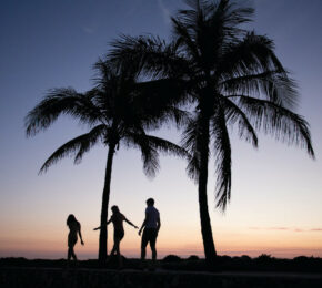 A group of people standing under palm trees, capturing one of the most Instagrammable places in Miami at sunset.