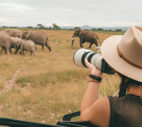 Nadine Sykora - East Africa Safari