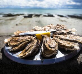 A plate of oysters with a lemon on it.