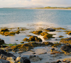 A wild swimming spot with a rocky shore in the UK.