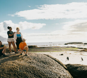 group of travellers on boulders beach looking at african penguins