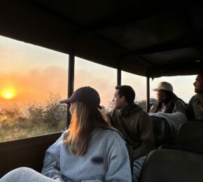 group of travellers on a Game Drive in South Africa